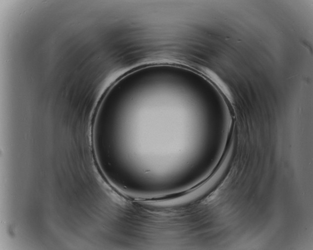 X0000096391388200801311312