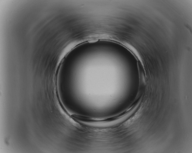X0000096391389200801311312