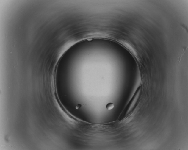 X0000096391391200801311311