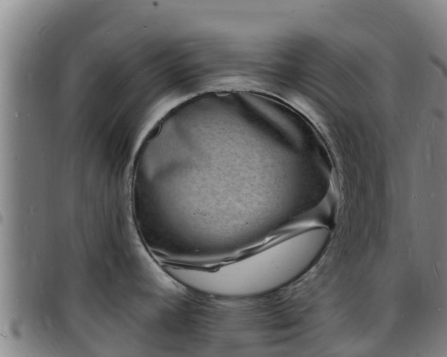 X0000096391392200801311311