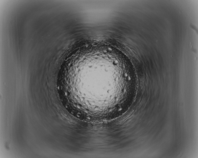 X0000096391393200801311311