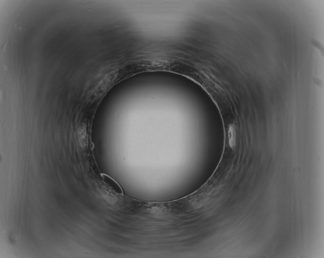X0000096391395200801311311