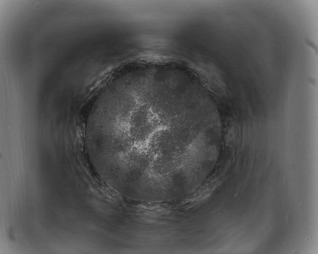 X0000096391397200801311311