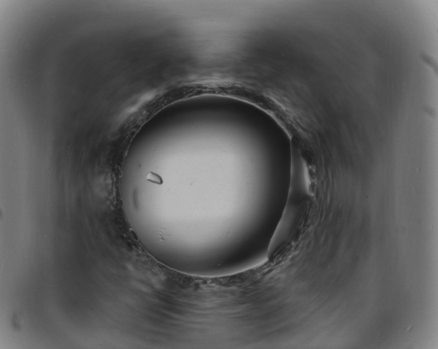 X0000096391398200801311311