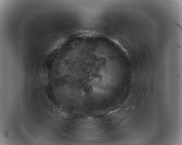 X0000096391399200801311311