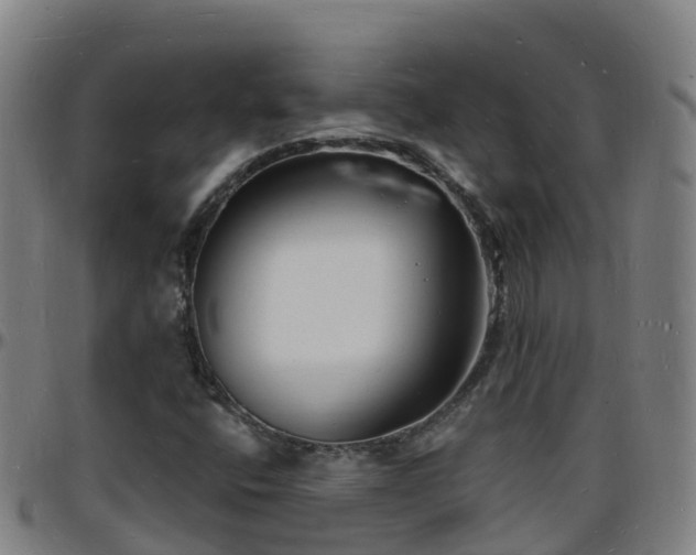 X0000096391400200801311311