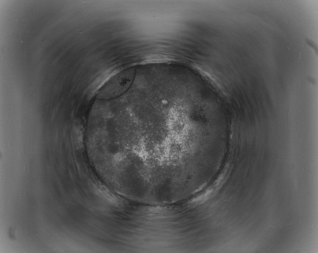 X0000096391401200801311311