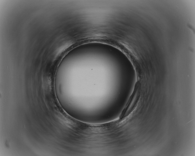 X0000096391402200801311311