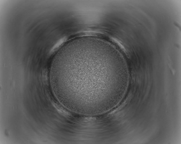 X0000096391403200801311311