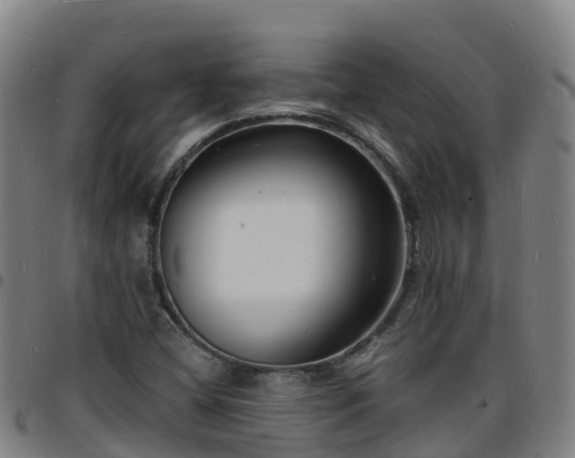 X0000096391404200801311311