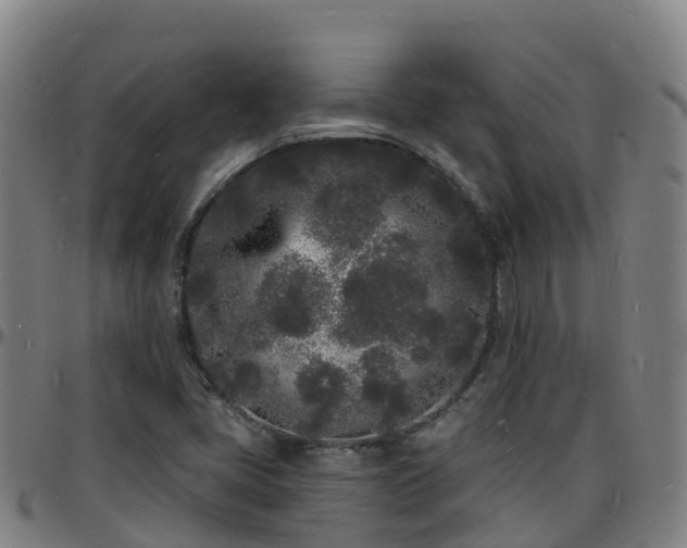 X0000096391405200801311311