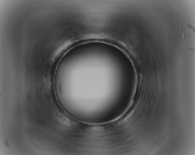 X0000096391406200801311311