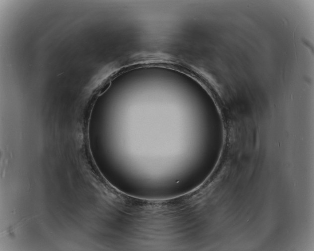 X0000096391407200801311311