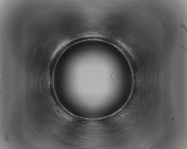 X0000096391408200801311311