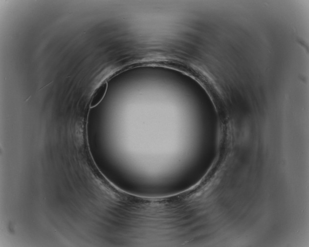 X0000096391409200801311311