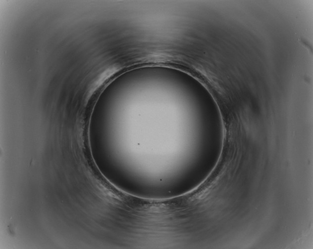 X0000096391410200801311311