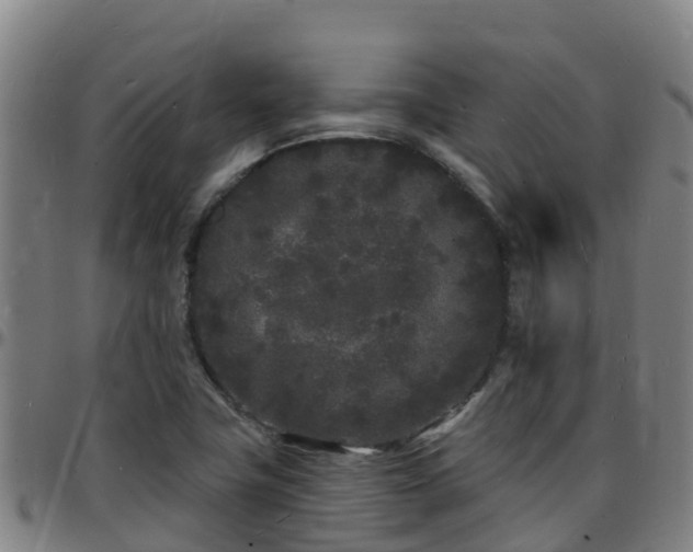 X0000096391411200801311311