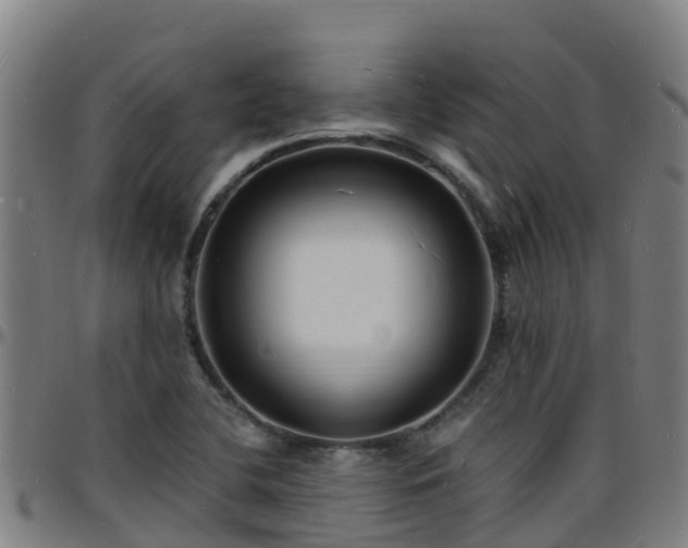 X0000096391412200801311311