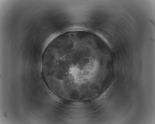 X0000096391413200801311311