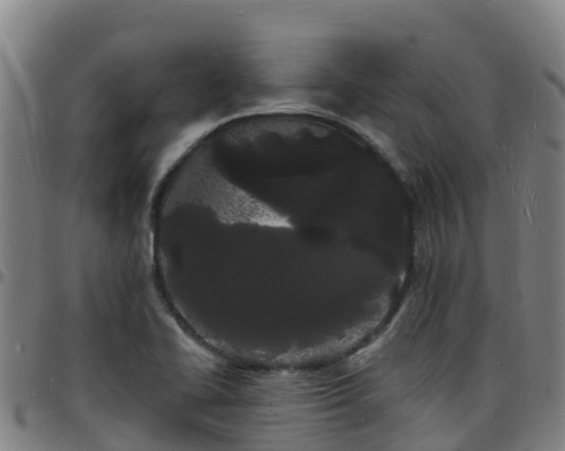 X0000096391414200801311311