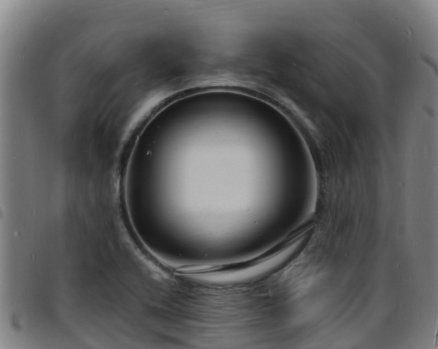 X0000096391416200801311311