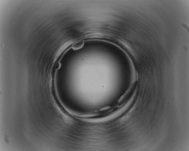 X0000096391418200801311311