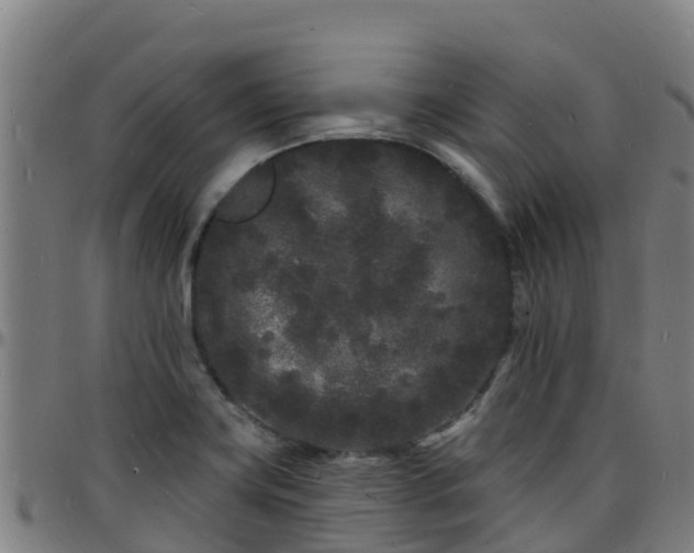 X0000096391419200801311311