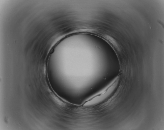 X0000096391420200801311311