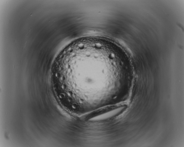 X0000096391421200801311311