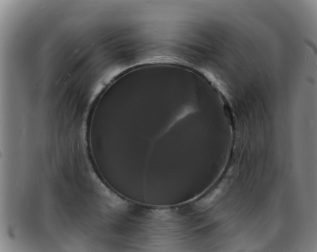 X0000096391422200801311311
