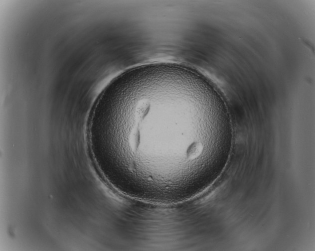 X0000096391423200801311311