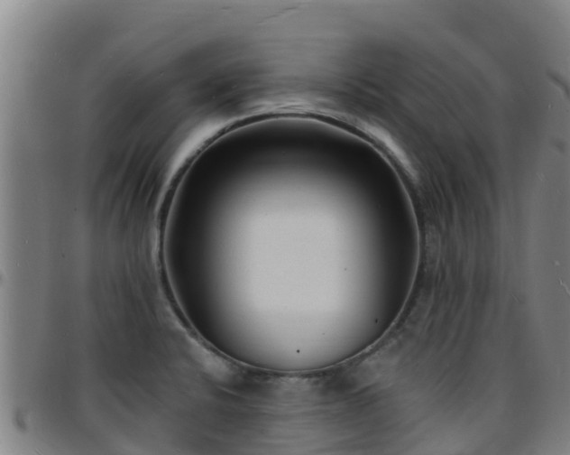 X0000096391424200801311311