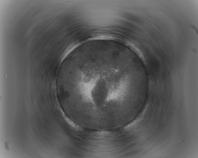 X0000096391425200801311311