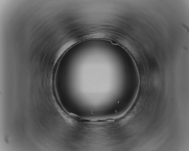 X0000096391426200801311311