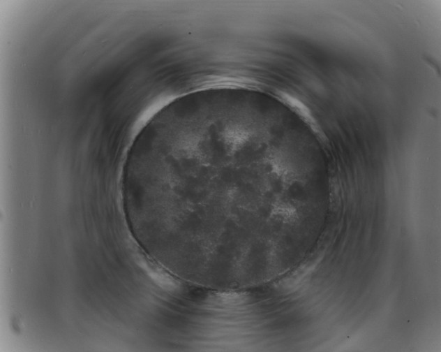 X0000096391427200801311311