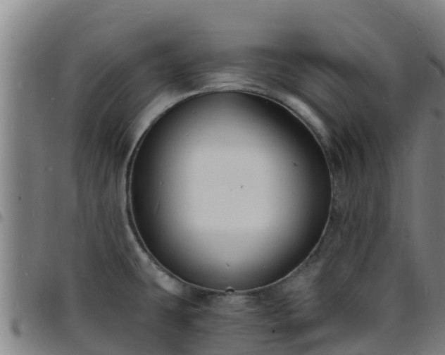 X0000096391431200801311311