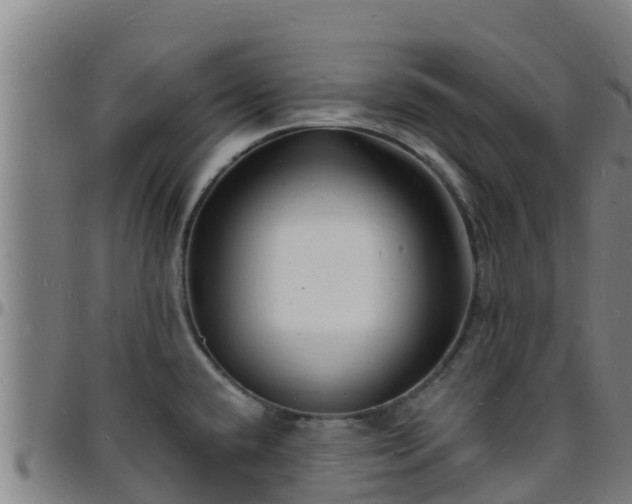 X0000096391432200801311311