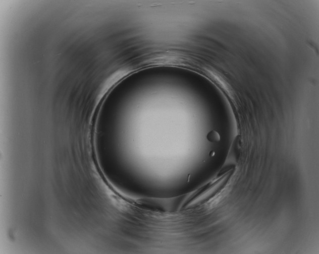 X0000096391434200801311311