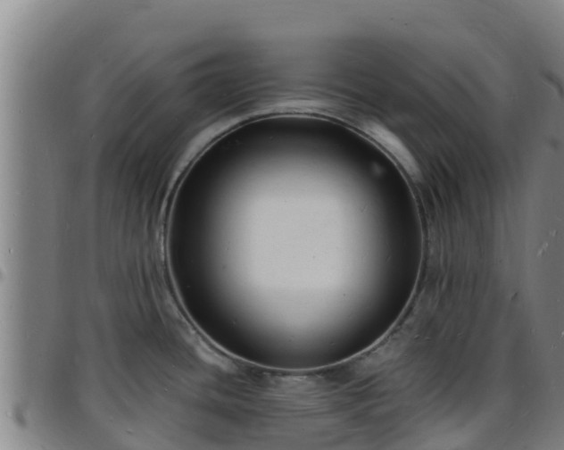 X0000096391436200801311311