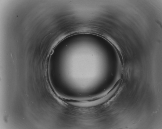 X0000096391437200801311311