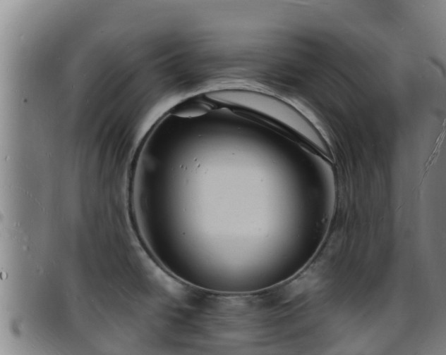 X0000096391438200801311311