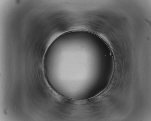 X0000096391440200801311311