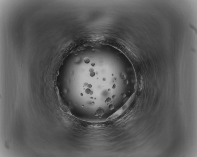 X0000096391441200801311311