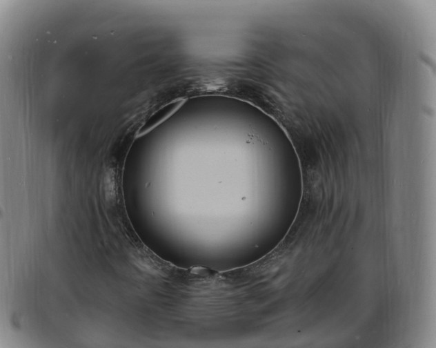 X0000096391442200801311311