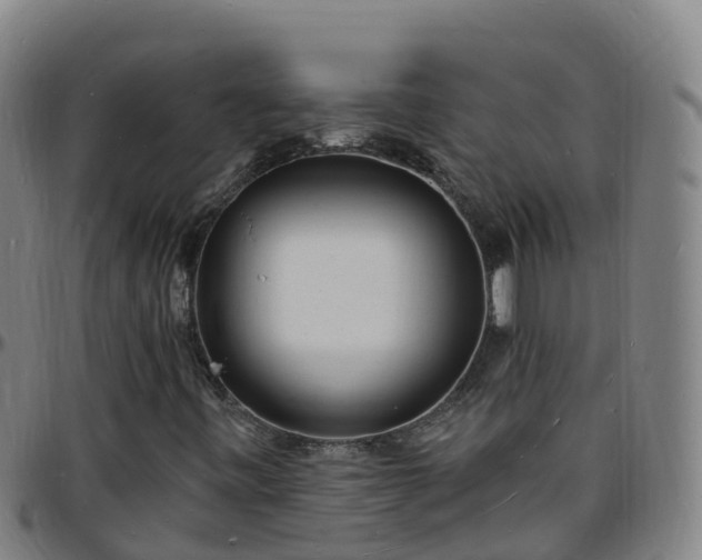 X0000096391443200801311311