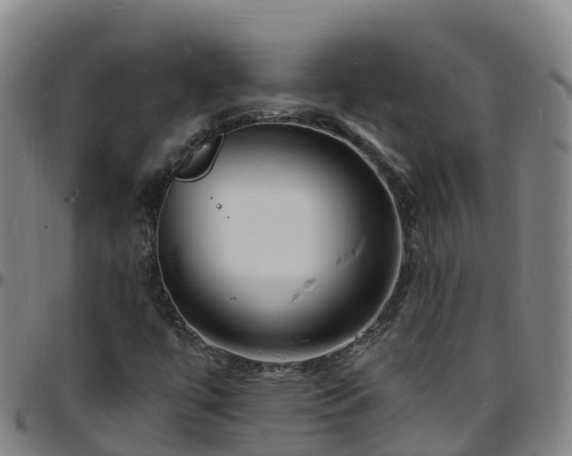 X0000096391447200801311311