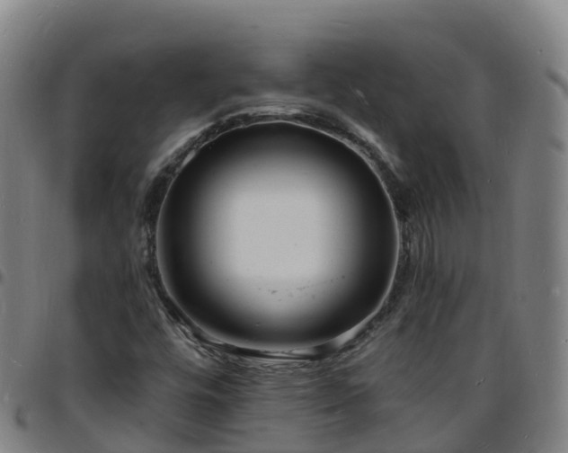 X0000096391448200801311311