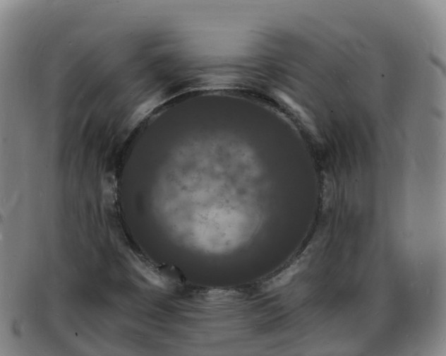 X0000096391449200801311311
