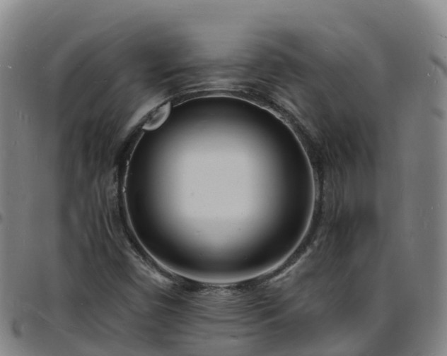 X0000096391450200801311311