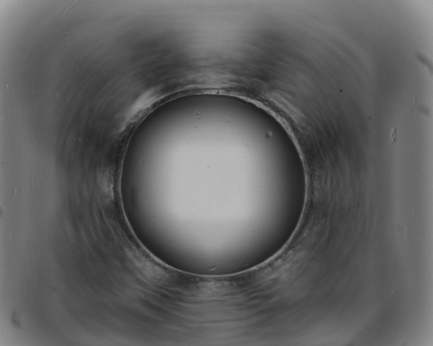 X0000096391451200801311311